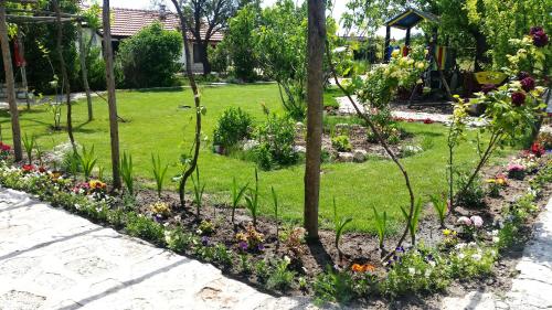 Taman di luar Levana Guest House