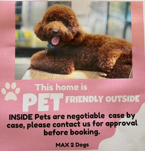 a picture of a dog sitting on a table at SUMMER DAYSIES - Pet Friendly WiFi in Robe