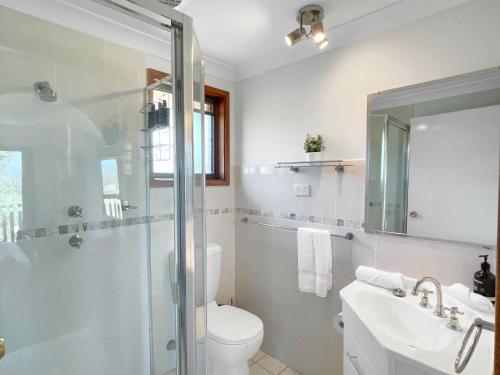 un bagno con doccia, WC e lavandino di Hunter Homestead a Lovedale