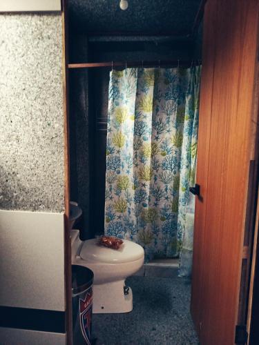 a bathroom with a toilet and a shower curtain at Cabaña 79 Papallacta Alpina in Papallacta