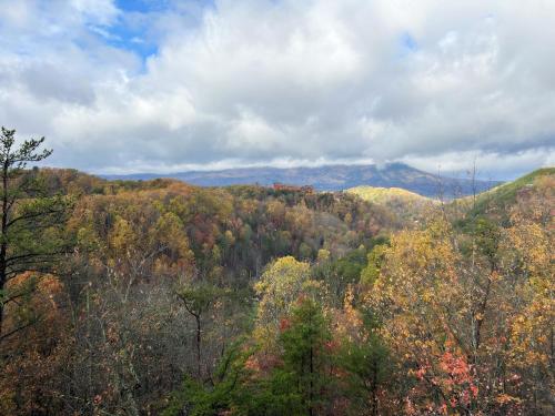 a view of a forest of trees in the fall at Honeymoon View #1 in Little Cove