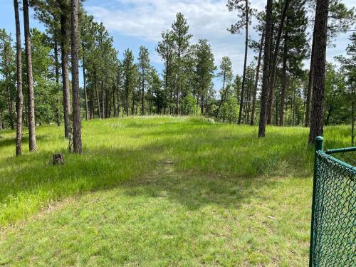 a fence in a field with trees and grass at Black Hills Nature Retreat, Centrally Located in Keystone