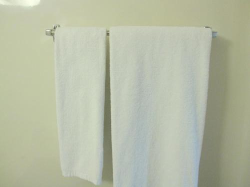 two towels hanging on a towel rack in a bathroom at Toyohashi Station Hotel in Toyohashi