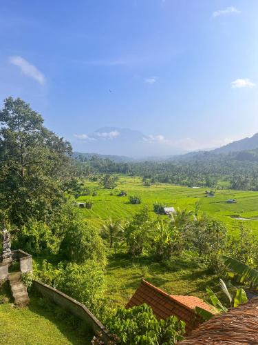 a view of a green field from a house at Villa Lumbung Ayu Sari & Spa in Karangasem