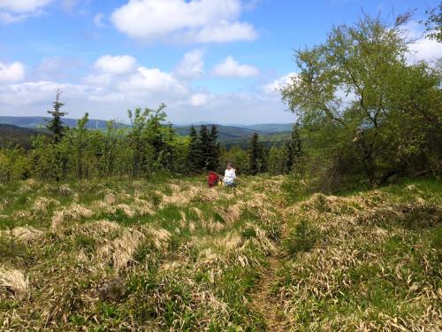 a couple of people walking on a grassy hill at Erzgebirgsferien in Olbernhau