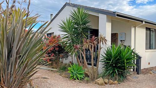 a white house with plants in front of it at Infinity at Surf Beach in Surf Beach