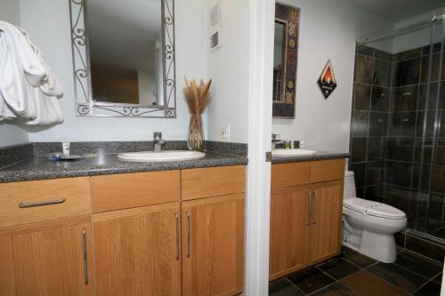 a bathroom with a sink and a toilet and a mirror at Summit 285 1 bedroom 1 bathroom - Pet Friendly in Mammoth Lakes