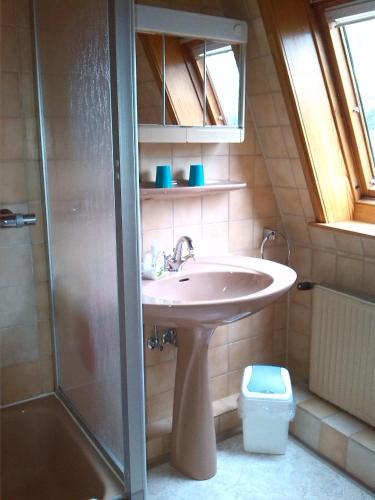 a bathroom with a sink and a shower at Pension Abendsonne in Büsum