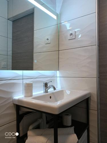 une salle de bain avec un lavabo et un miroir dans l'établissement Studio 2, à Moirans-en-Montagne