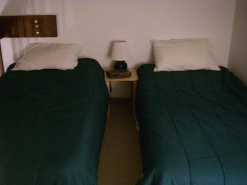 sypialnia z 2 łóżkami i stolikiem nocnym z lampką w obiekcie Fraser Condo for Xmas-New Years, 1B and loft, 1 Bath, Sleeps up to 4 w mieście Fraser