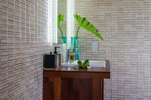 a bathroom with a sink and a plant on a counter at Domaine To'a Hotu in Tohautu