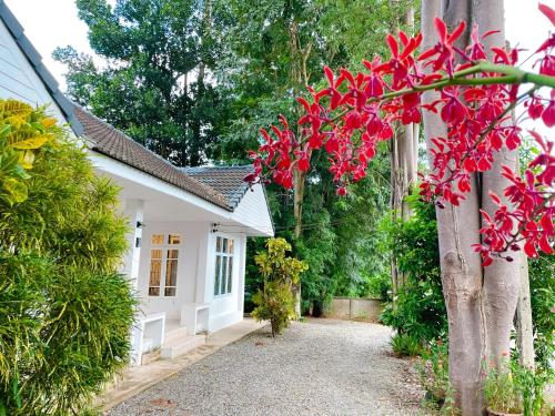 a house with red flowers in front of it at Silpasom ARTstay in Ban Takuk Nua