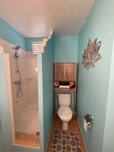a small bathroom with a toilet and a shower at Couleur Caraïbes- BARBADE appartement pierre et vacances accès plage et piscine in Sainte-Luce