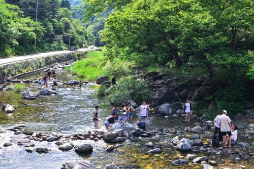 a group of people playing in a river at Gapyeong Yongchu Valley Travel Pension in Gapyeong