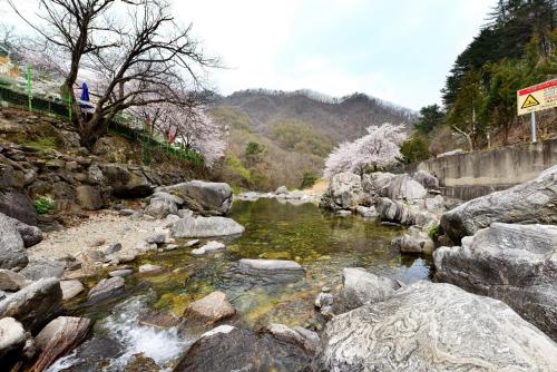 a river with rocks and a mountain in the background at Gapyeong Yongchu Valley Travel Pension in Gapyeong