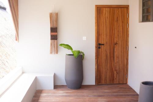 a plant in a vase next to a door at Chantauvent Guest House in Blue Bay