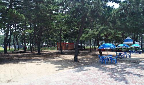 a group of tables and chairs with umbrellas in a park at Mongsanpohaebyeon Pension in Taean