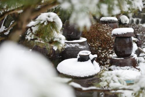 a snow covered fence with snow on top of it at Pensyeon Hai in Chuncheon