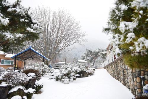 a yard covered in snow next to a fence at Pensyeon Hai in Chuncheon