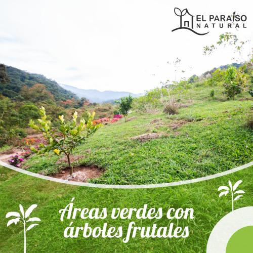 a collage of photos of a grassy hill witharea gardens and bushes at El Paraíso Natural in Pejibaye