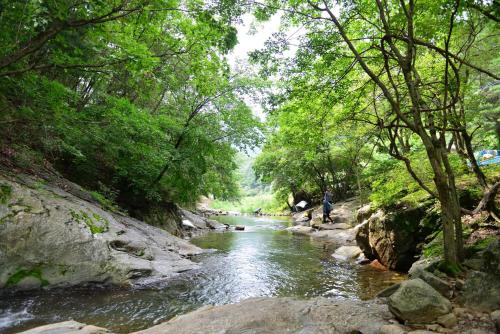 a man walking along a river with trees at Gapyeong Gratia glamping in Gapyeong