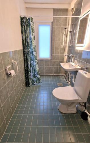 a bathroom with a toilet and a sink at Villa Ruths Stay Kunta in Kouvola
