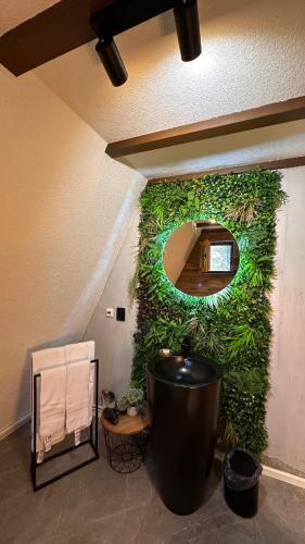a bathroom with a green wall with a mirror at Porumbacu Garden in Porumbacu de Sus