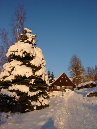 a snow covered christmas tree in front of a house at Apartmány Klárka in Rokytnice nad Jizerou