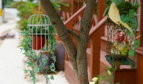 a bird cage hanging from a tree next to a staircase at Buan Mul Love Pension in Buan