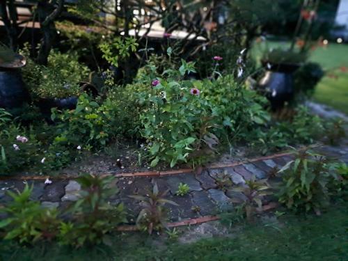 a garden with flowers and plants in a yard at Private pension Jeongwonchae in Wanju