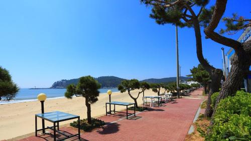 a row of picnic tables on the beach at Taean The sea side Pension in Tohwang-ni