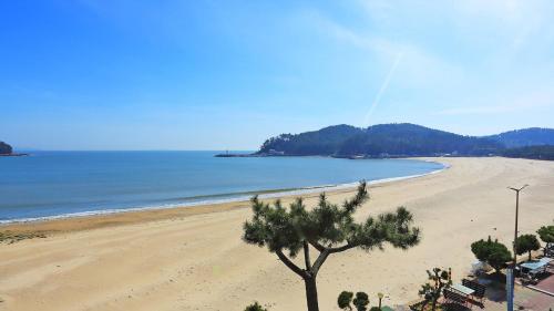 a view of a beach with a tree on it at Taean The sea side Pension in Tohwang-ni