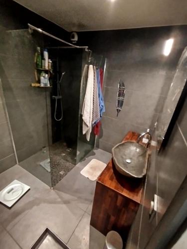 une salle de bain avec un lavabo et une douche dans l'établissement Chambre Pessac proche rocade aéroport, à Pessac