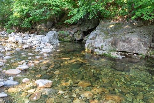 Un paisaje natural cerca de la casa de huéspedes