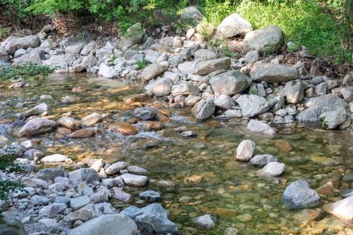Un paisaje natural cerca de la casa de huéspedes