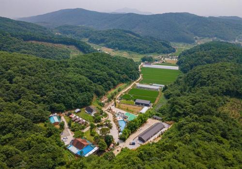 an aerial view of a farm in the middle of a forest at Hana Soop Gwangwang Nongwon in Seocheon