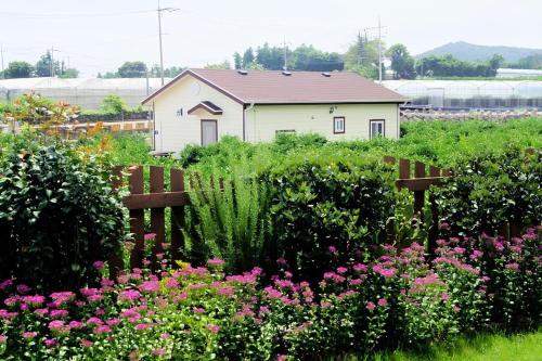 a garden with flowers and a house in the background at Jeju Haengwoon clover in Seogwipo