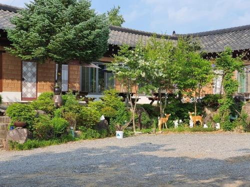 Сад в Hongcheon Yongho River Pension