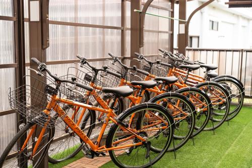 Montar en bicicleta en Asahi o alrededores