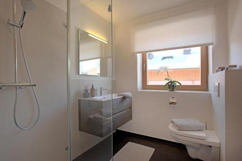 a bathroom with a toilet and a sink and a window at Appartementhaus Schubert in Westendorf
