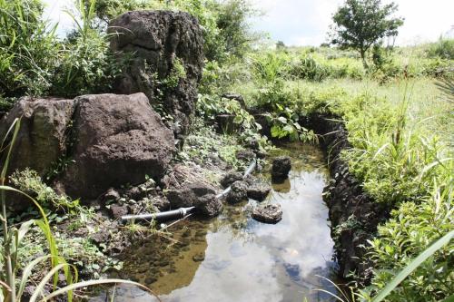 Příroda nedaleko penzionu
