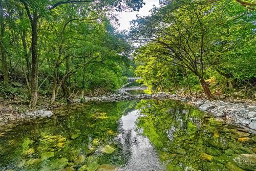 a river with trees and rocks in the middle at Muju camping Caravan in Samgong