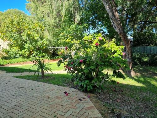 a garden with a tree and flowers on a brick path at Beachfront Bliss, waterfront Geographe bay in Busselton