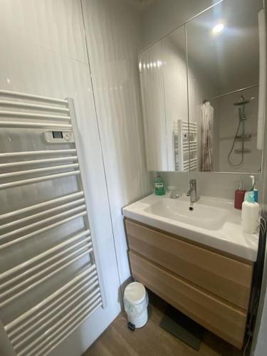 une salle de bain avec un lavabo et un miroir dans l'établissement Villa avec Piscine, grand terrain à 7 mn de la mer, à Frontignan