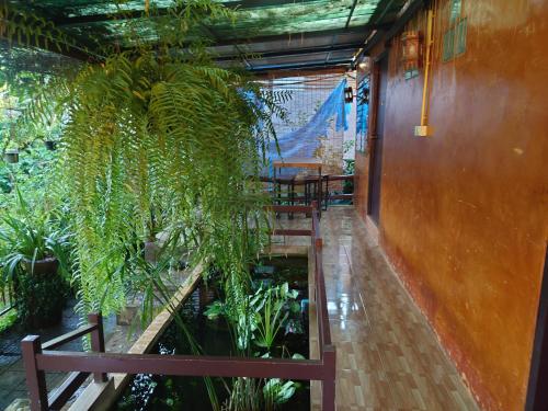 Zahrada ubytování บ้านดินโฮมสเตย์ ปางอุ๋ง