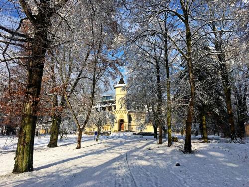 a building in a park with snow covered trees at Schlosshotel Hohenbocka in Hohenbocka