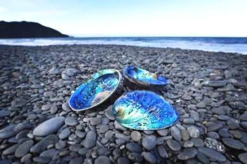 a pair of shoes sitting on a rocky beach at U&U 2bedrooms Home in Whangaparaoa