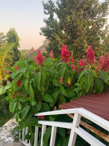 a white fence in front of some pink flowers at Alhasia Ecoville Jambur Gambia in Jambur