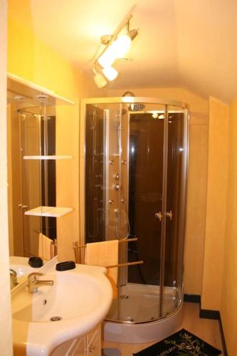 une salle de bain avec douche et lavabo dans l'établissement La Cabourotte, ancien fournil, classé 3 étoiles, à Herpelmont