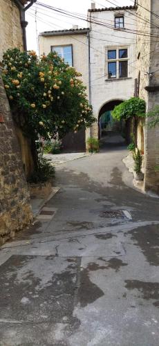an alley with a building with a bush with yellow flowers at Les studettes du Beffroi in Cucuron